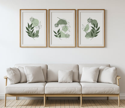 Flourish Frames: Modern Nature Print Set, Set of 3, B005