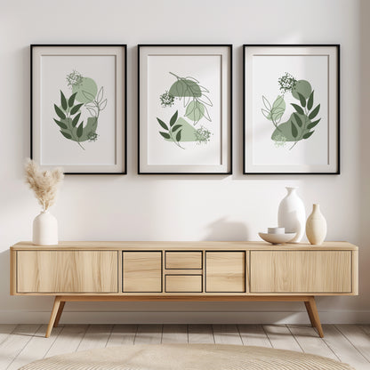 Flourish Frames: Modern Nature Print Set, Set of 3, B005