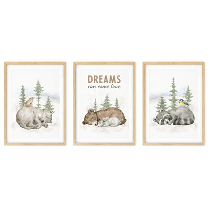 Woodland Dreams Trio - Bear, Wolf, Raccoon Wall Art, Set of 3, N048