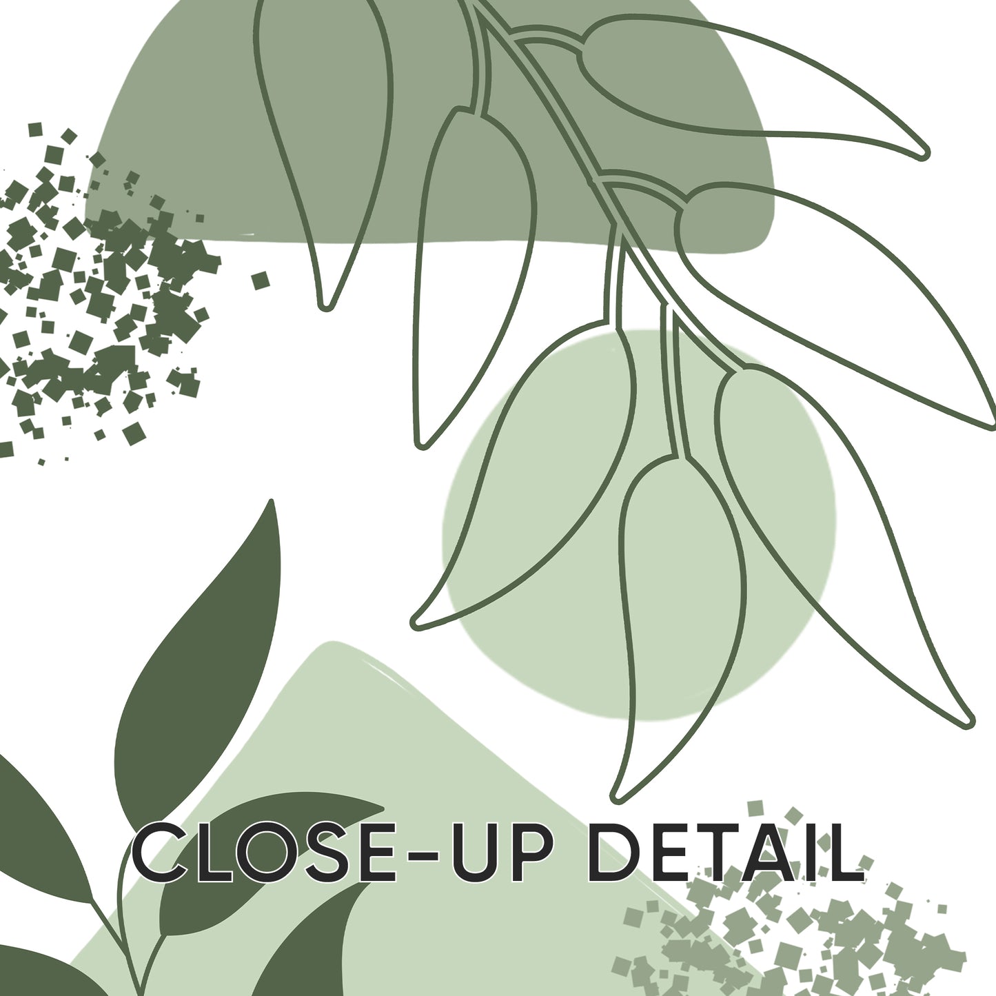 Flourish Frames: Modern Nature Print Set, Set of 3, B005