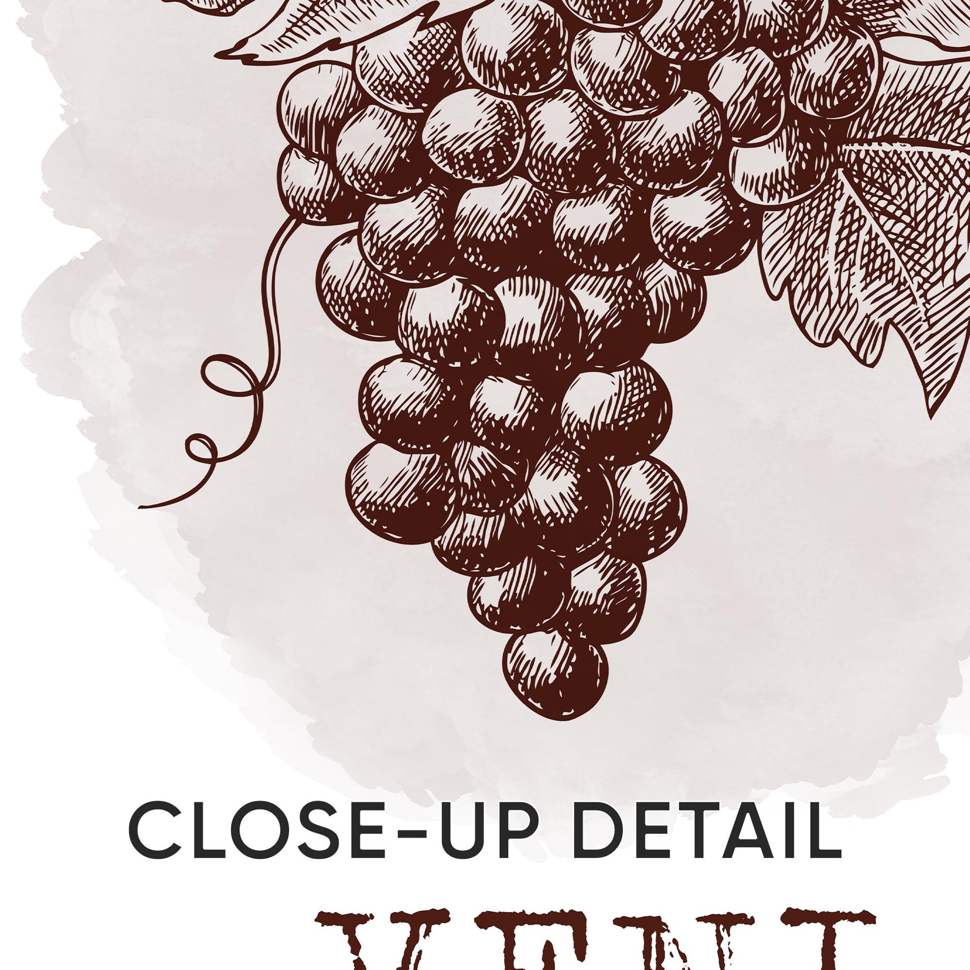 Veni Vidi Vino Wine Prints Set, Home Bar Art D124