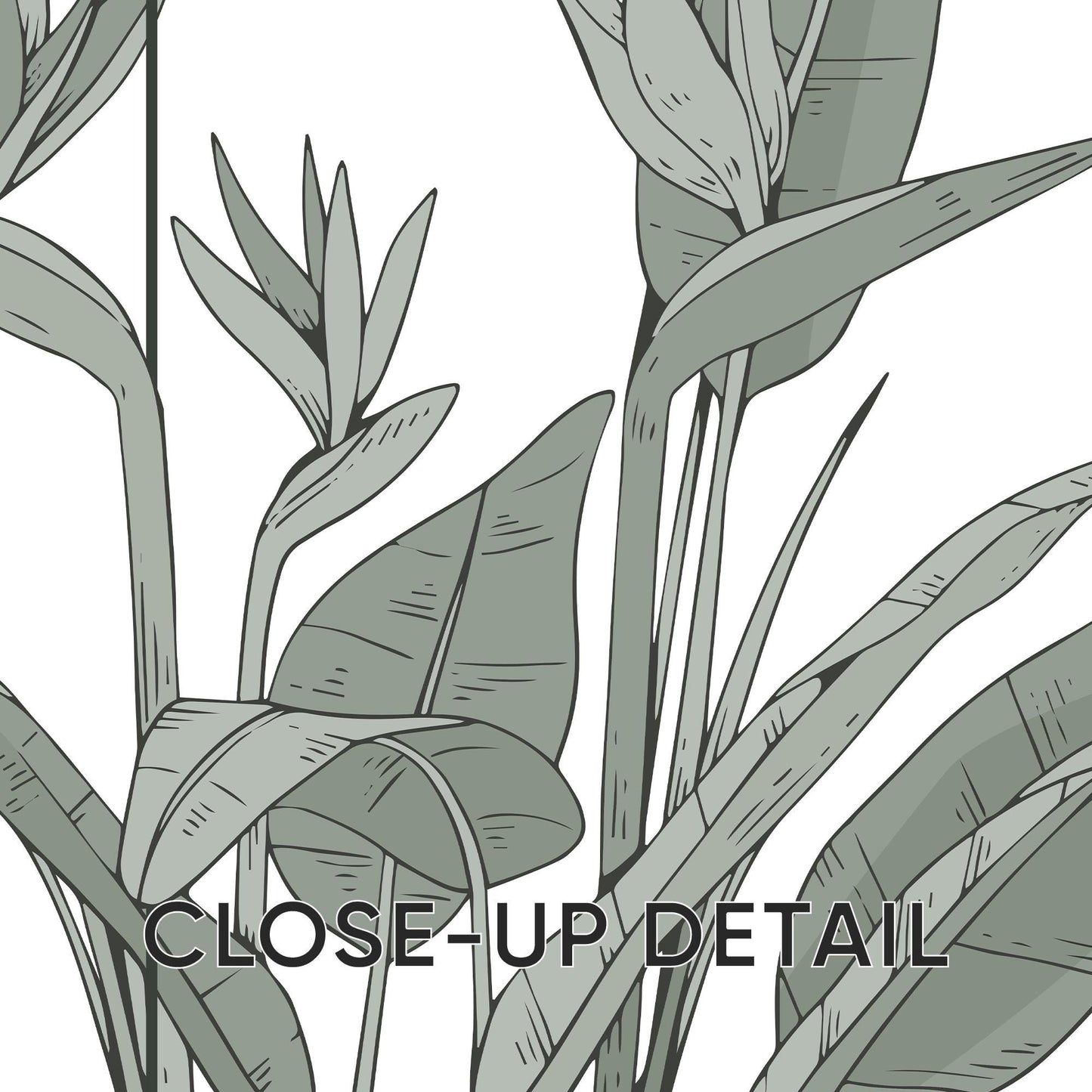Sage Green Botanical Prints Set, Minimalist Plant Wall Art B143