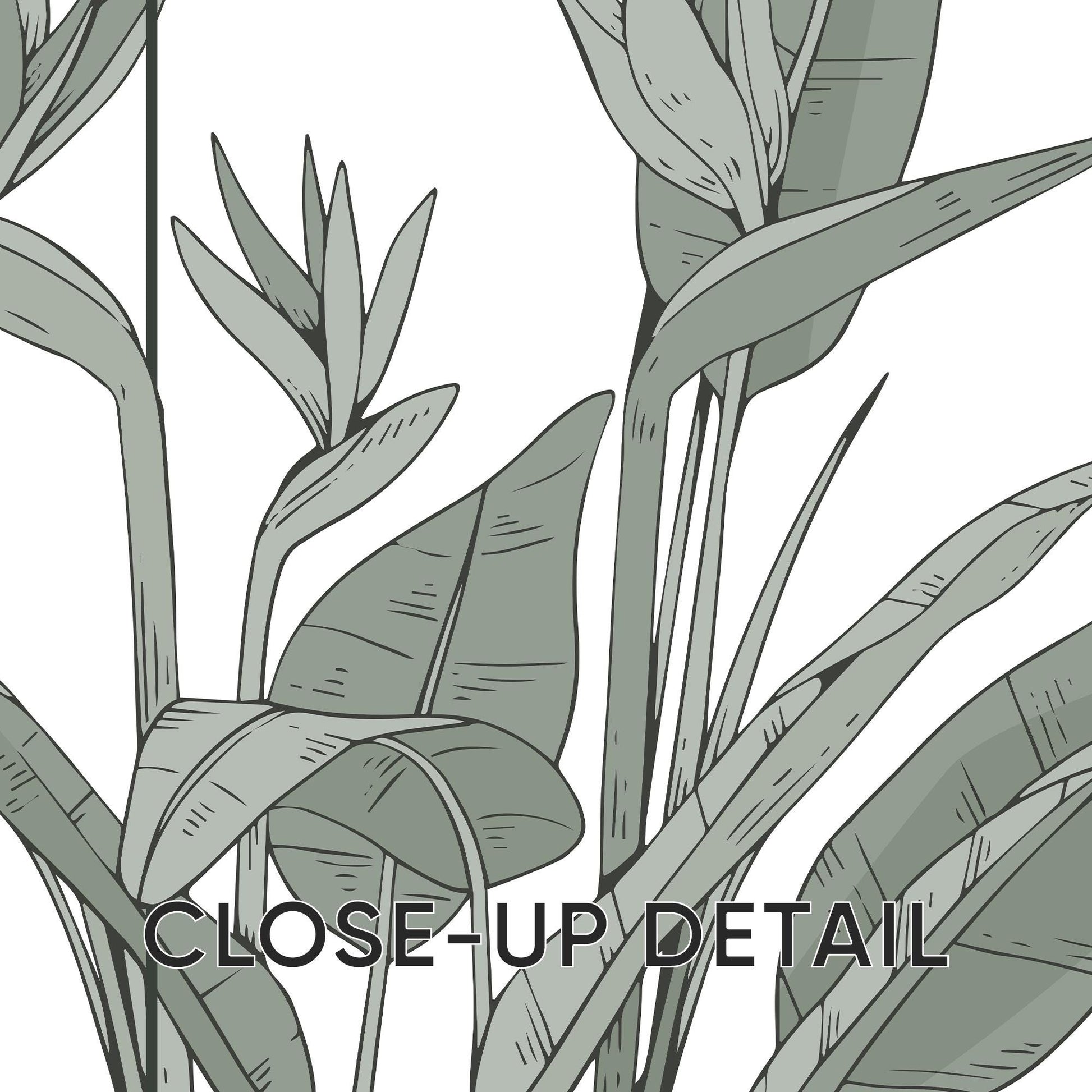 Sage Green Botanical Prints Set, Minimalist Plant Wall Art B143