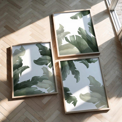 Tropical Wall Art Set of 3 – Sage Green Botanical Prints, Coastal Japandi Boho Decor for Bedroom and Living Room B138
