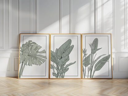 Sage Green Botanical Prints Set, Minimalist Plant Wall Art B143