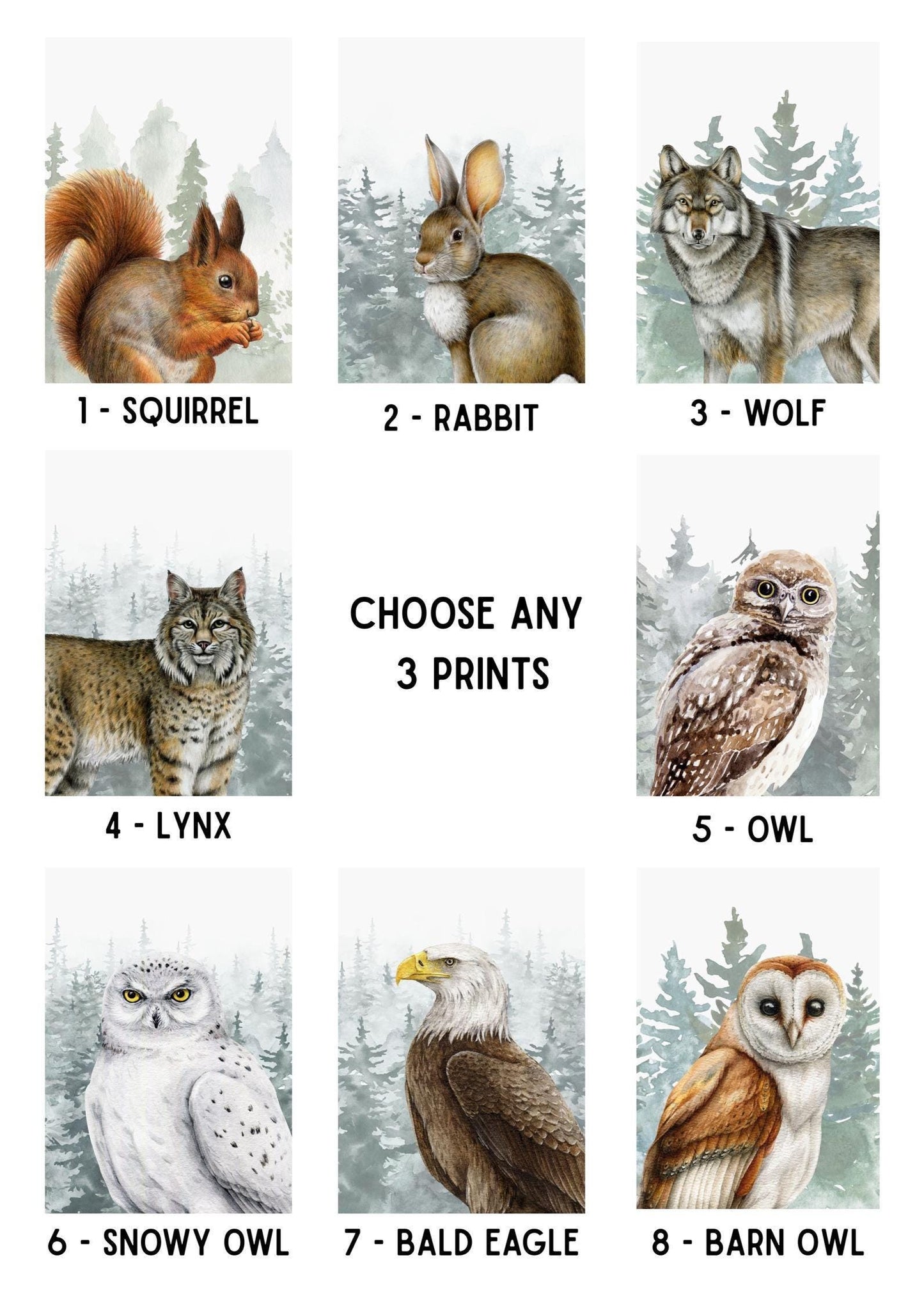 Woodland Animal Prints, Nursery Wall Art, Woodland Nursery Decor (Set of 3) N247 — poster 6